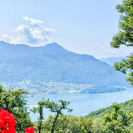 Mirtillo By Interhome Casa vacanze *