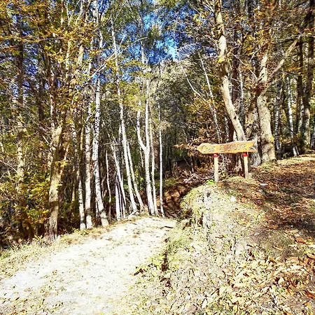 Mirtillo By Interhome 別荘