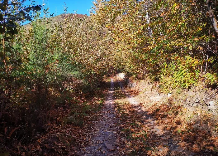 Mirtillo By Interhome Vakantiehuis *