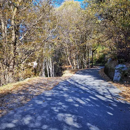 Mirtillo By Interhome