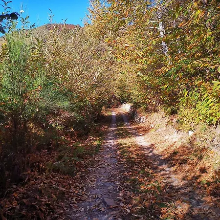 Mirtillo By Interhome Feriehus *